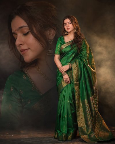 Classic Indian Ethnic Portrait preview